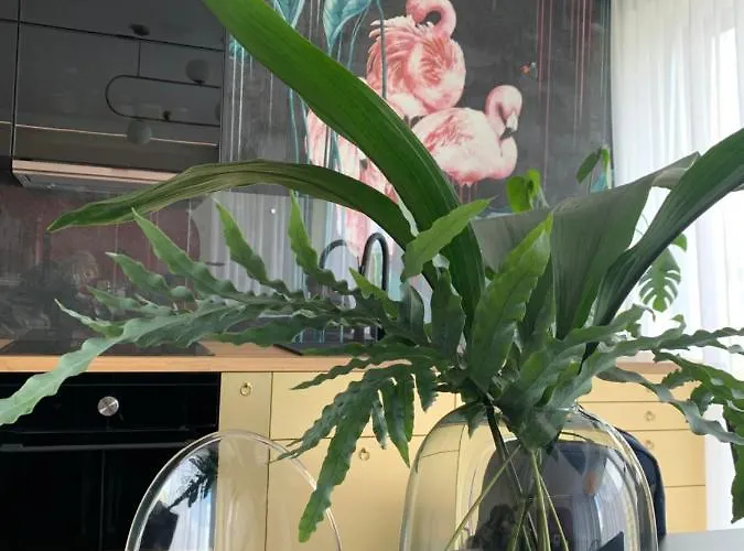 Apartman Zapomnienie *